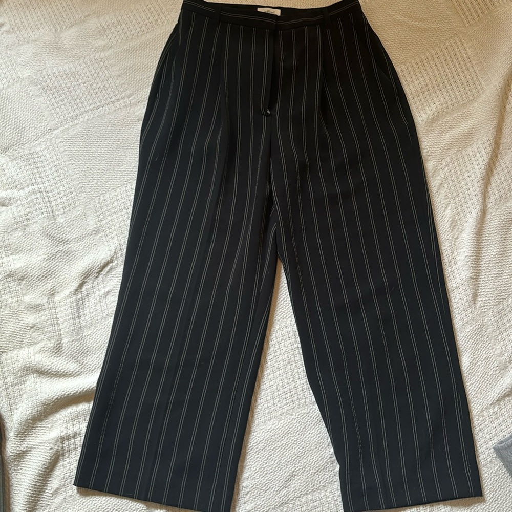 Women’s Aritzia Wilfred Dress Pants / Slacks